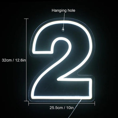 Birthday Number Led Neon Sign For Indoor Party Decor | Shineneon