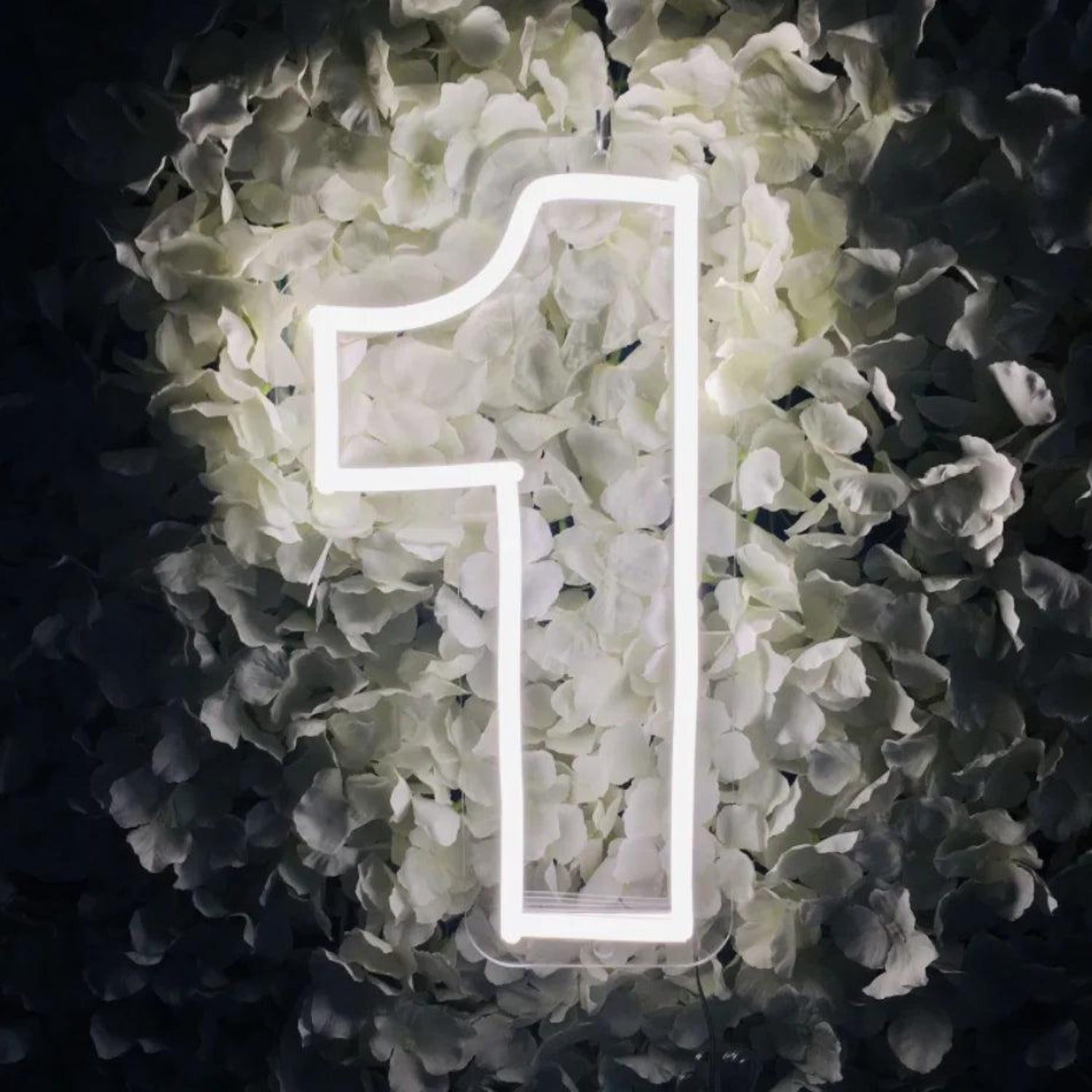 Birthday Number Led Neon Sign For Indoor Party Decor | Shineneon