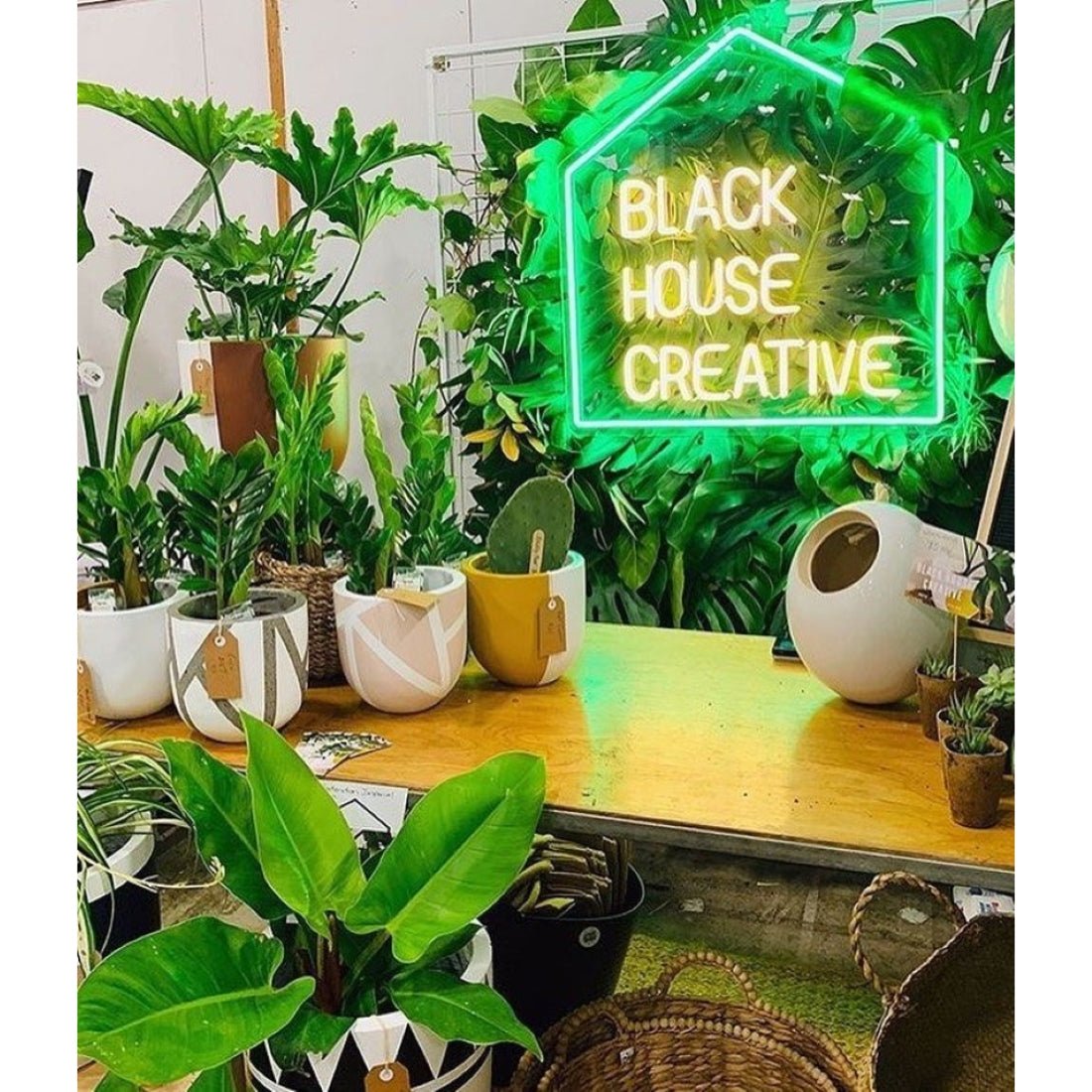 Black House Creative Led Sign Business Neon Sign - Shineneon