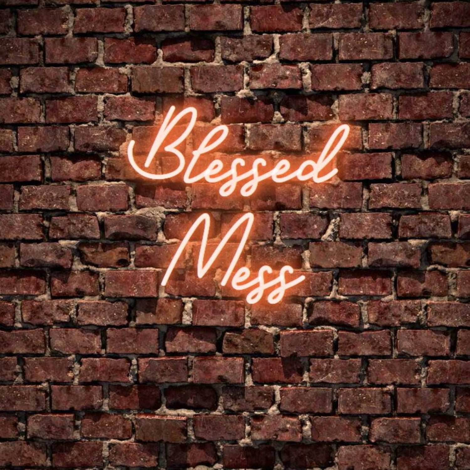 Blessed Mess Neon Sign | Shineneon
