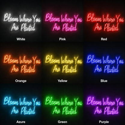 Bloom Where You Are Planted LED Neon Sign - 05 Color Grid