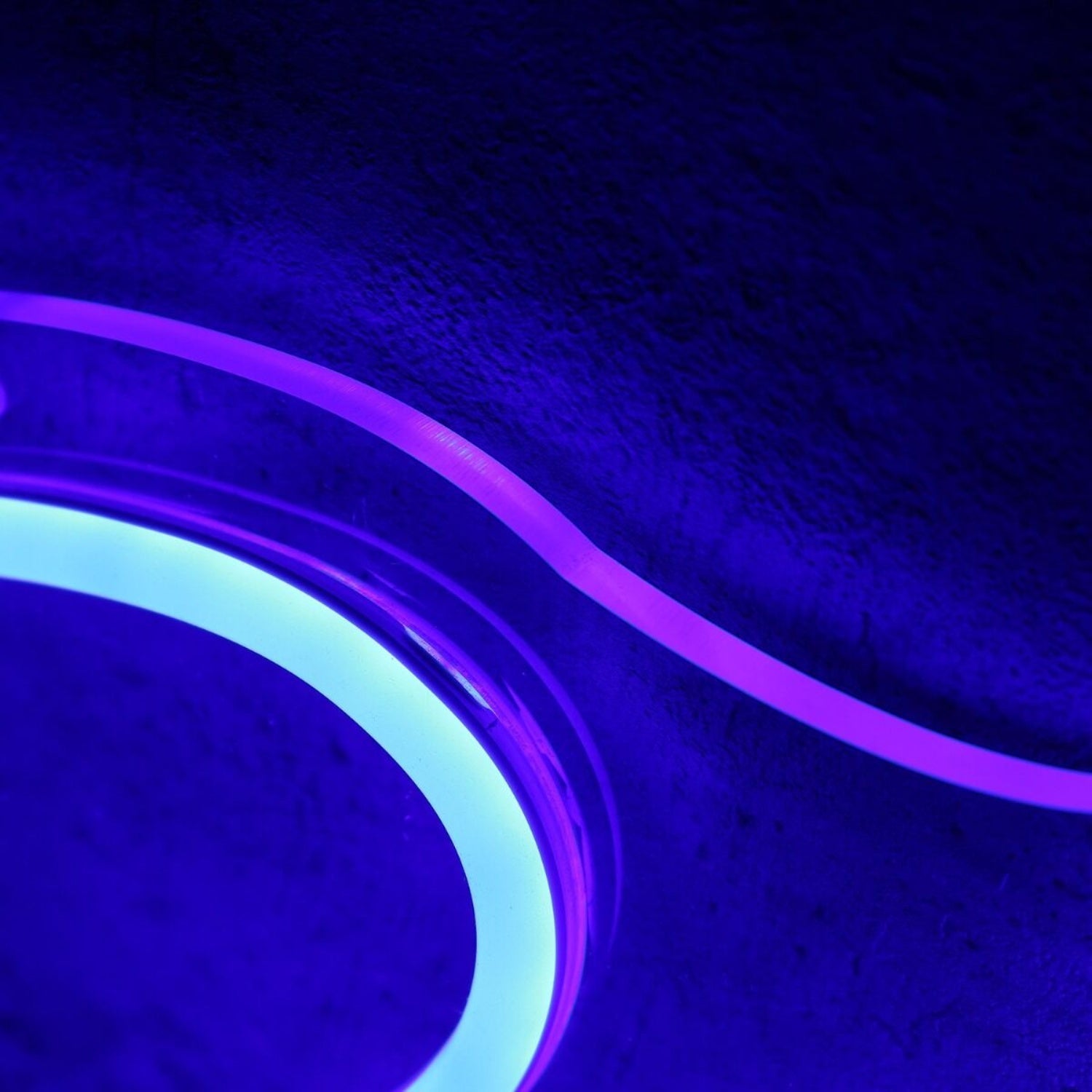 Blue Jays Custom Led Neon Sign - Shineneon