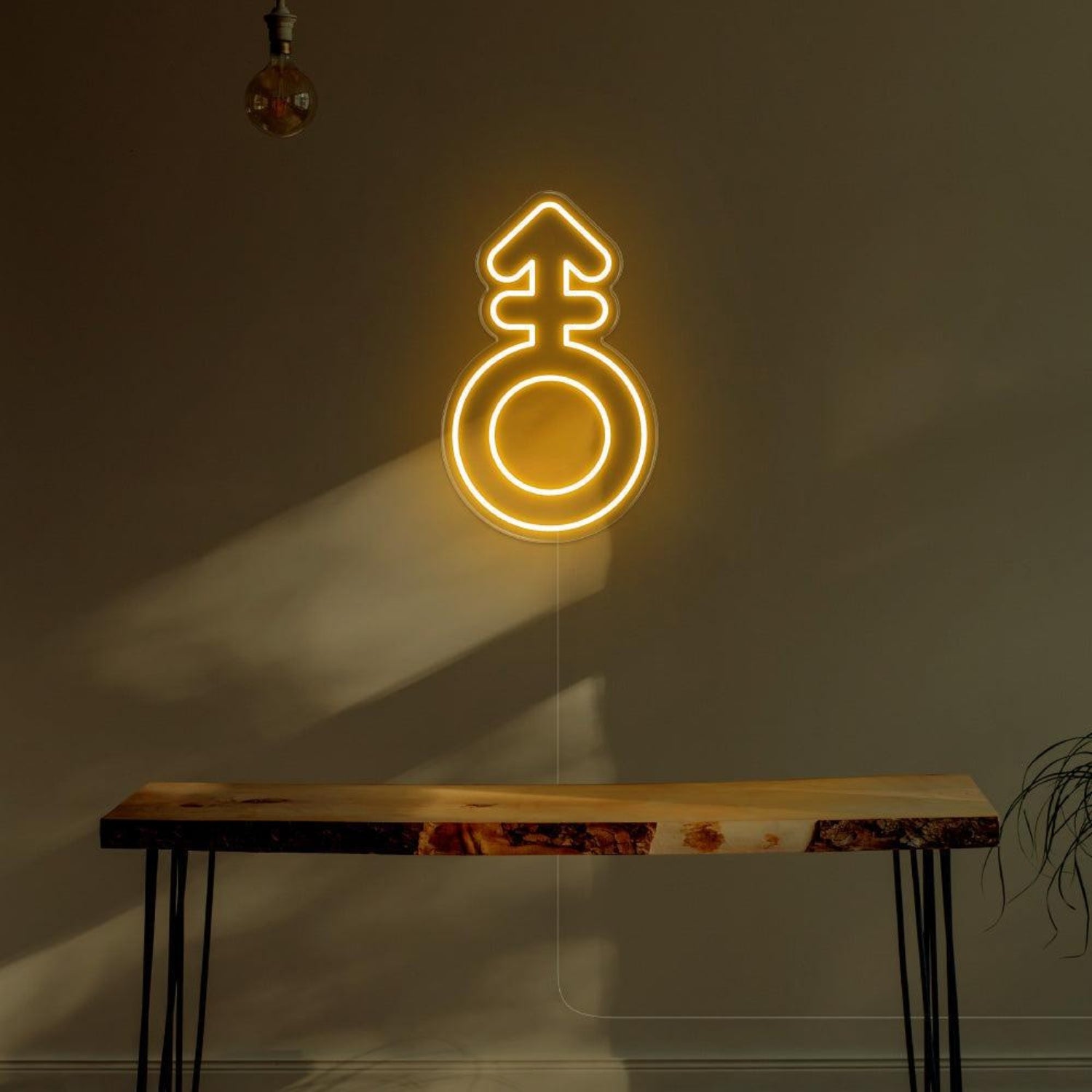 Blue Male Symbol Led Neon Sign For Modern Room Decor | Shineneon
