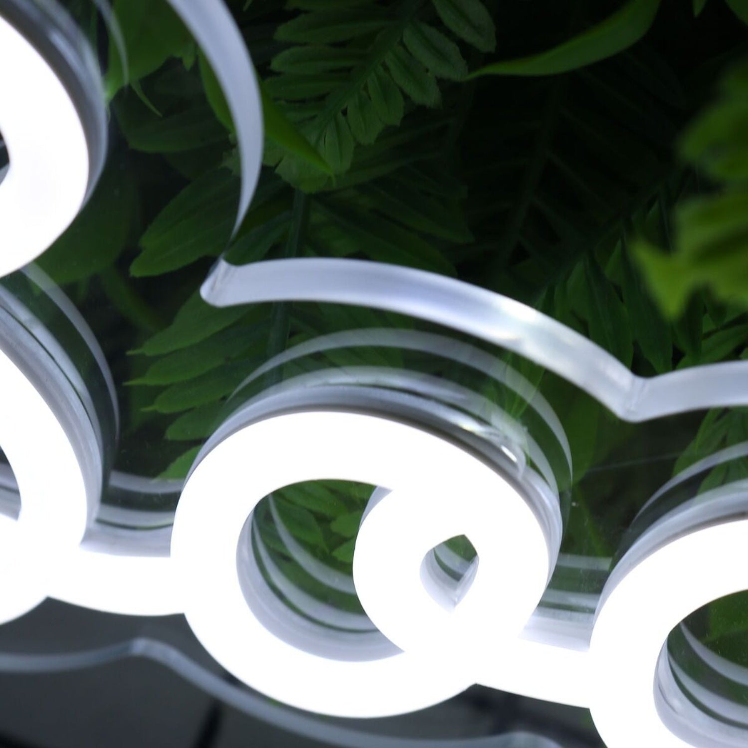 Booyoung White Led Neon Sign - Shineneon