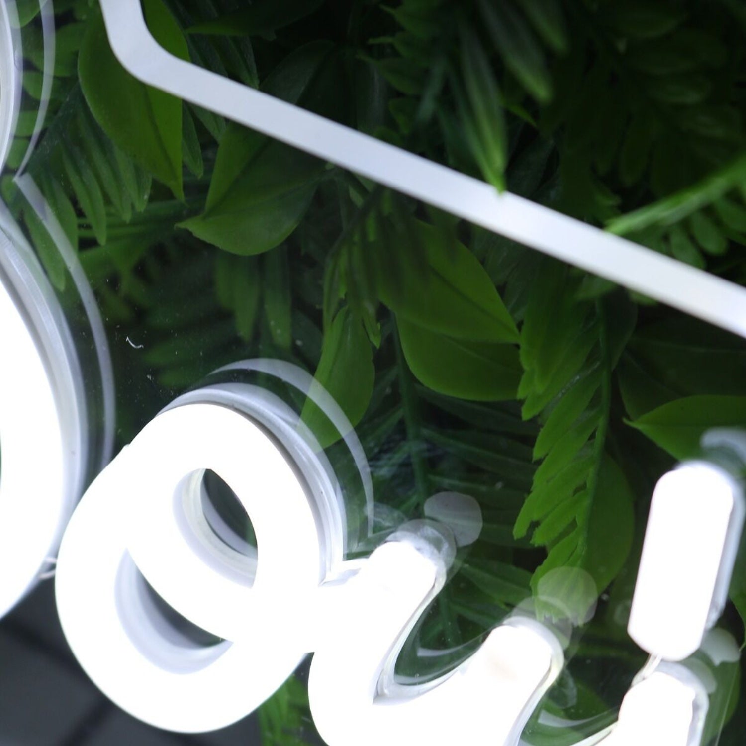 Boujee Beauty White Led Neon Sign - Shineneon