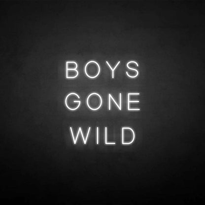 Boys Gone Wild Neon Sign | Shineneon