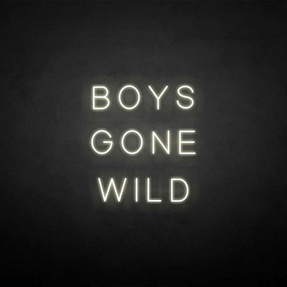 Boys Gone Wild Neon Sign | Shineneon