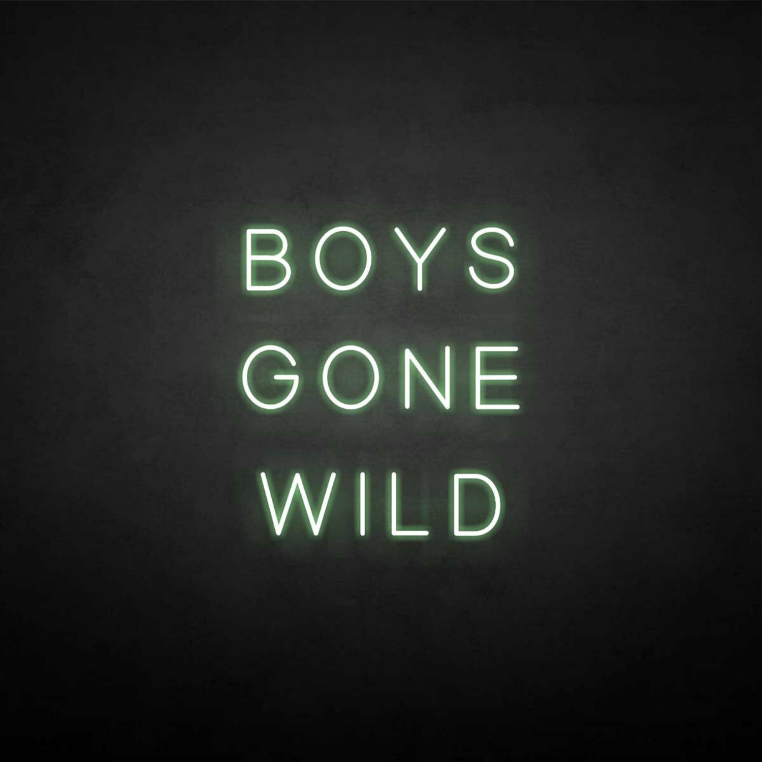 Boys Gone Wild Neon Sign | Shineneon