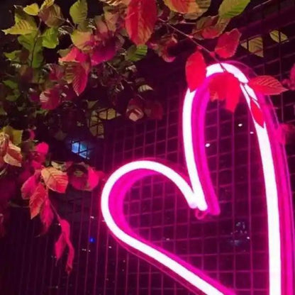Bright Pink Heart LED Neon Sign for Romantic Home Decor Pet Photography | Shineneon