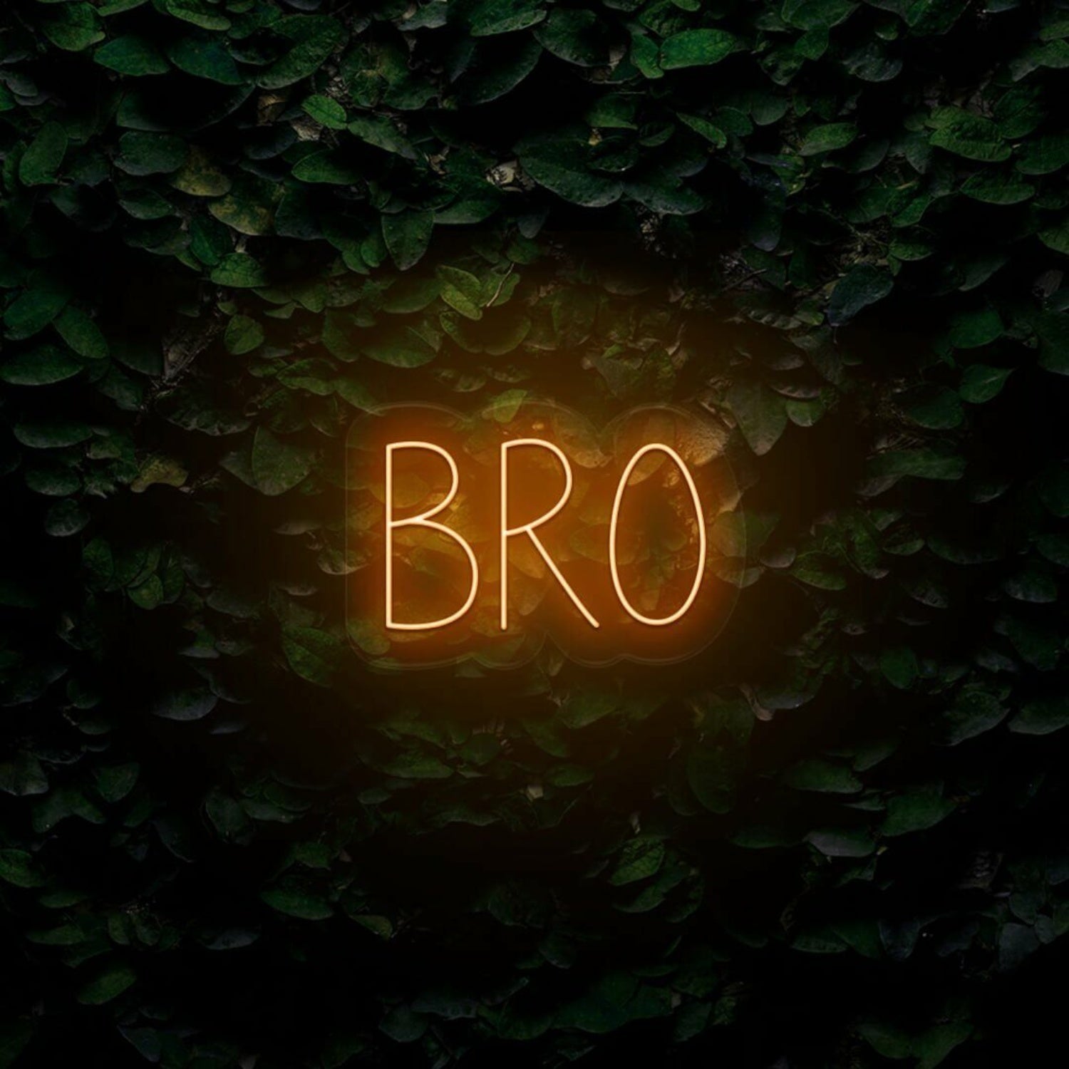 Bro Led Neon Sign Bedroom Wall Art - Shineneon