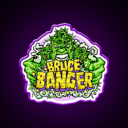 Bruce Banger Seed Artwork Hemp Inspired Green Leaf Led Neon Sign Rgb Color - LED neon sign view 9