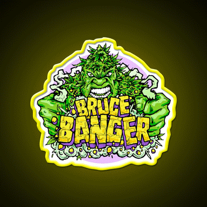 Bruce Banger Seed Artwork Hemp Inspired Green Leaf Led Neon Sign Rgb Color - Custom LED neon sign front view