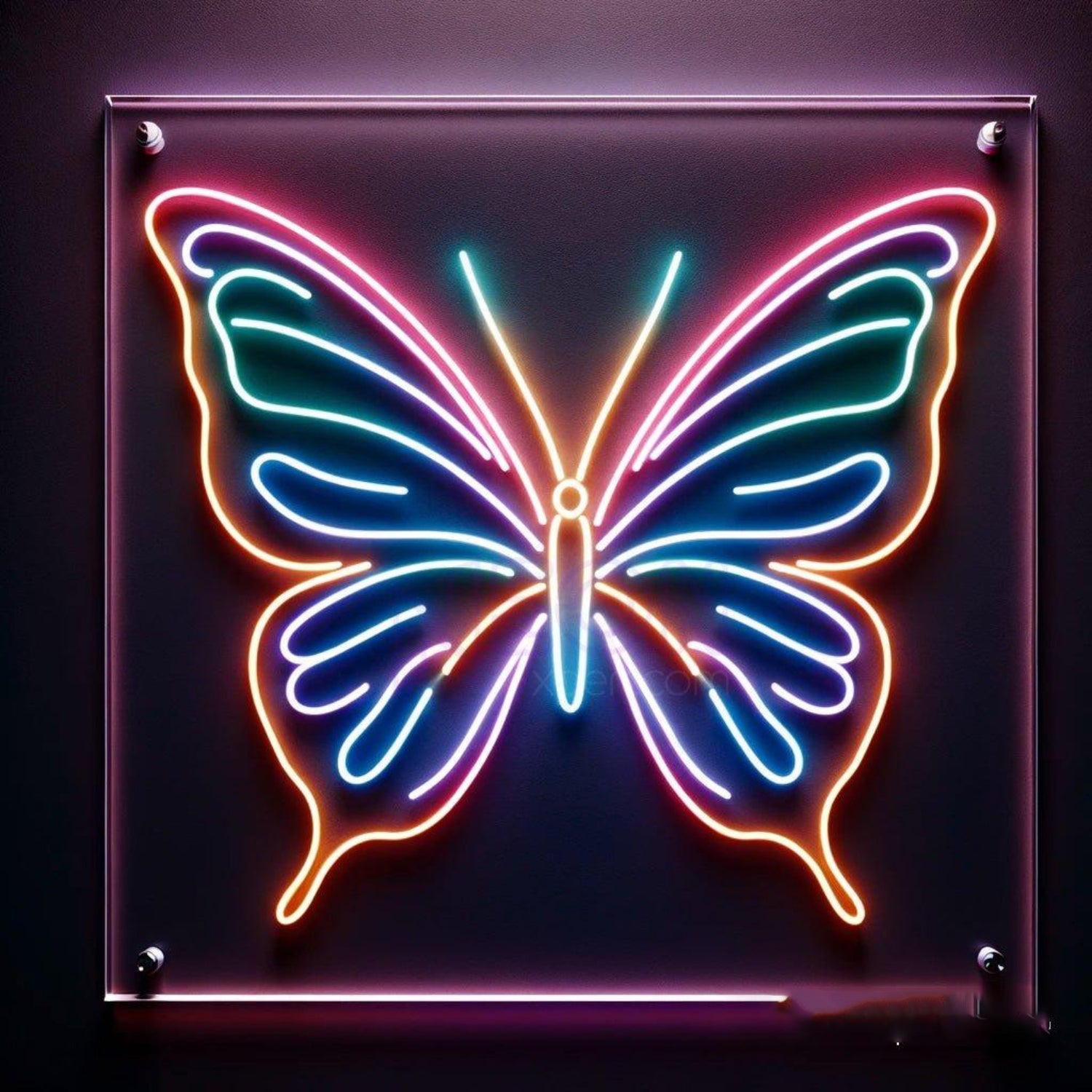 Butterfly Multicolor Gradient Led Neon Sign For Home And Cafe Decor | Shineneon