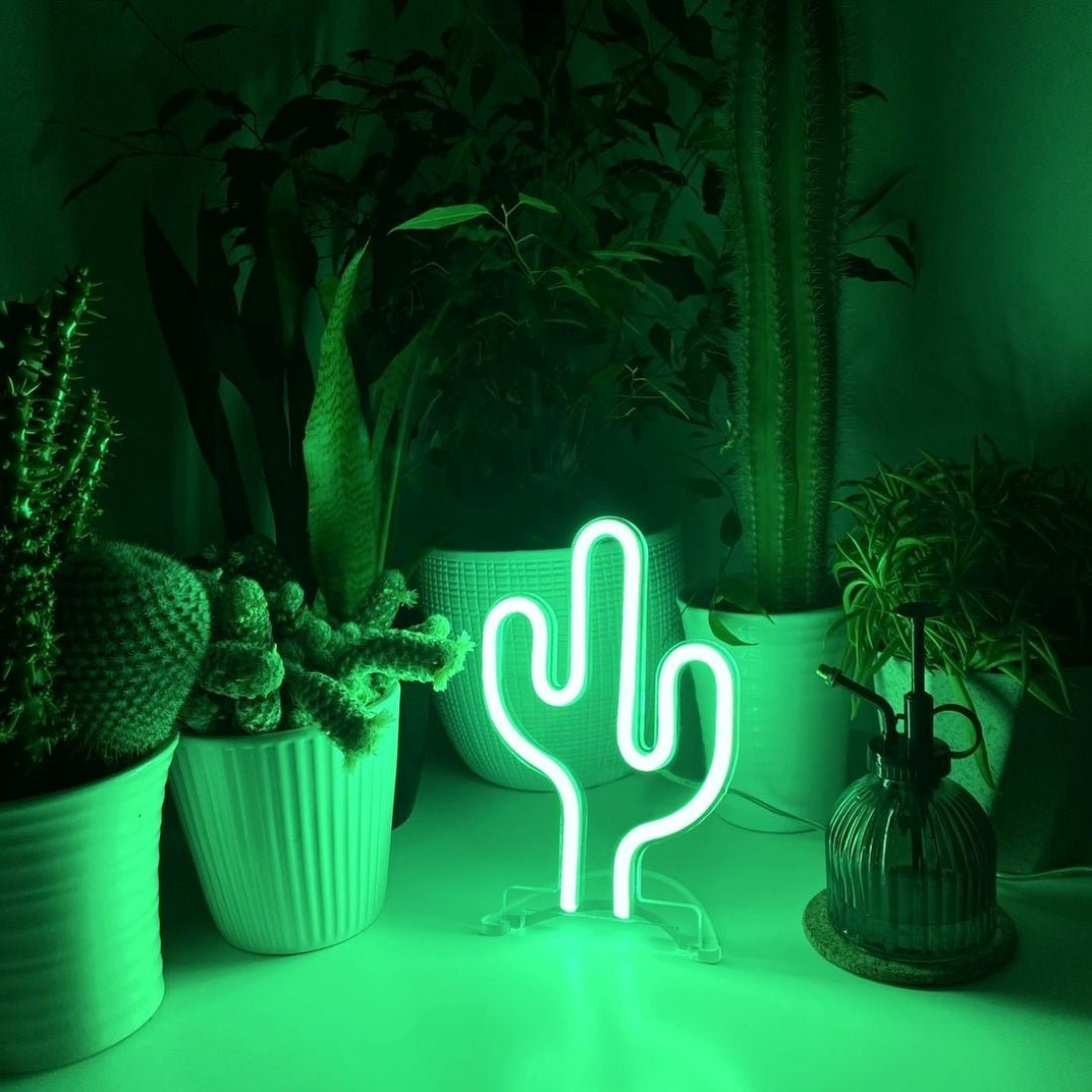 Cactus Neon Signs Neon Lights Led Neon Signs For Bars Light - Shineneon