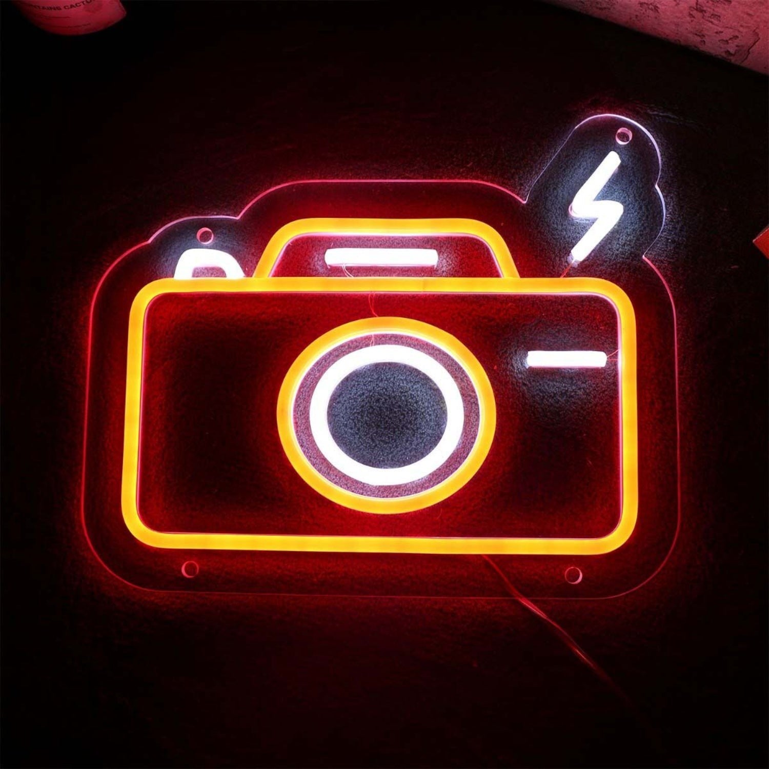Camera Flashing Led Neon Sign - Shineneon