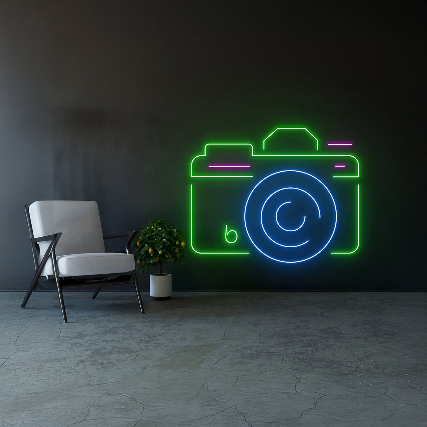 Camera Neon Sign