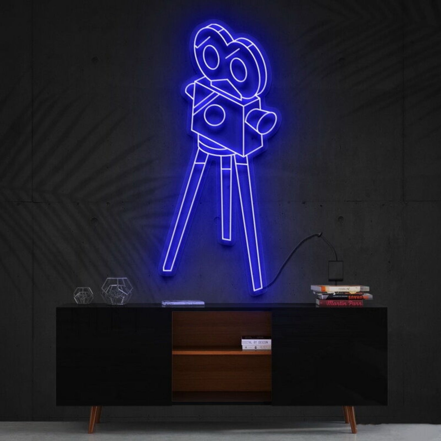 Camera Roll Led Neon Sign For Photography Enthusiasts | Shineneon