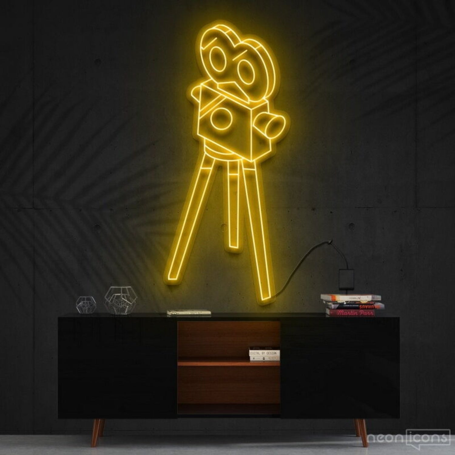 Camera Roll Led Neon Sign For Photography Enthusiasts | Shineneon