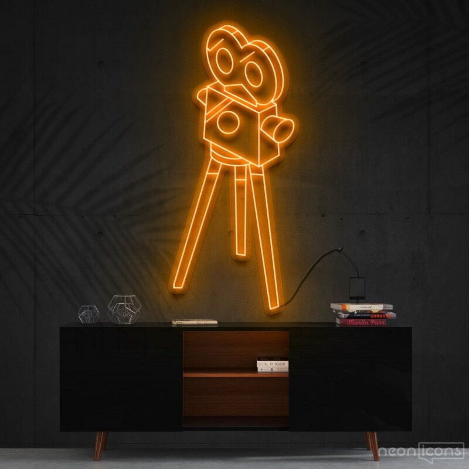 Camera Roll Led Neon Sign For Photography Enthusiasts | Shineneon