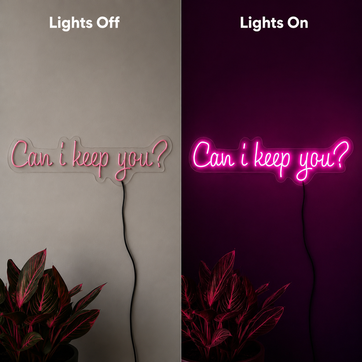 Can I Keep You LED Neon Sign - 06 Day Night Comparison