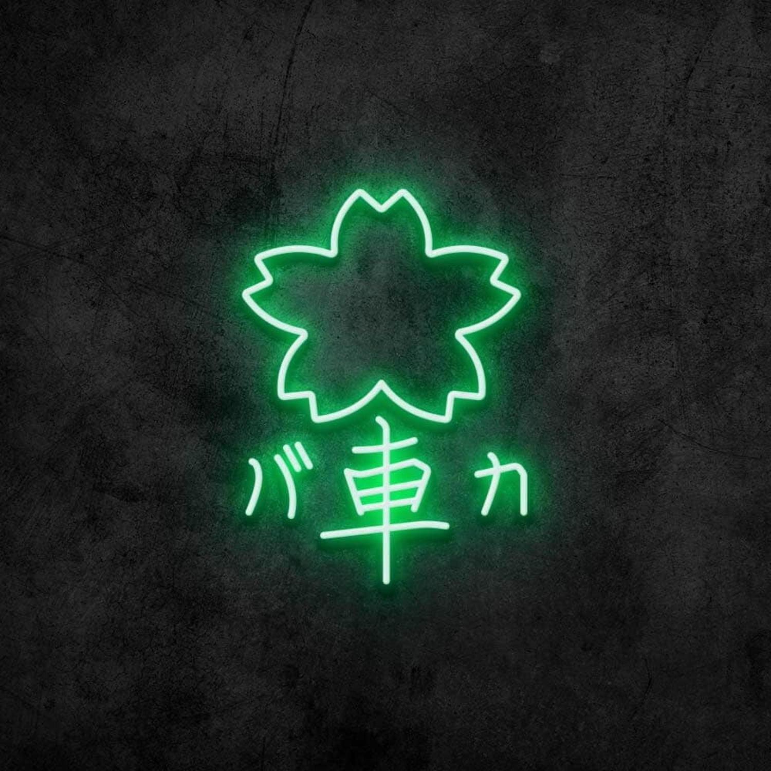 Car Crazy Neon Sign | Shineneon