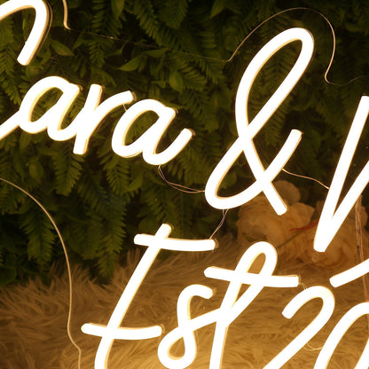 Cara And Danielle Est 2023 Yellow Led Neon Sign - Shineneon