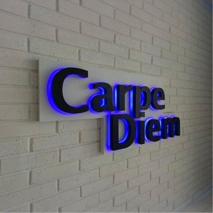 Carpe Diem 3D Backlit Channel Letters Led Light Sign - Shineneon