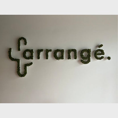 Carrage 3D Moss Letter Sign - Shineneon