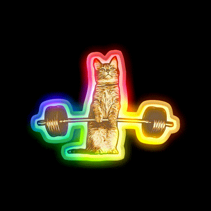Cat Deadlif Exercise Weightlift Bodybuilding Burn Gym Fitness Led Neon Sign Rgb Color - LED neon sign close-up detail