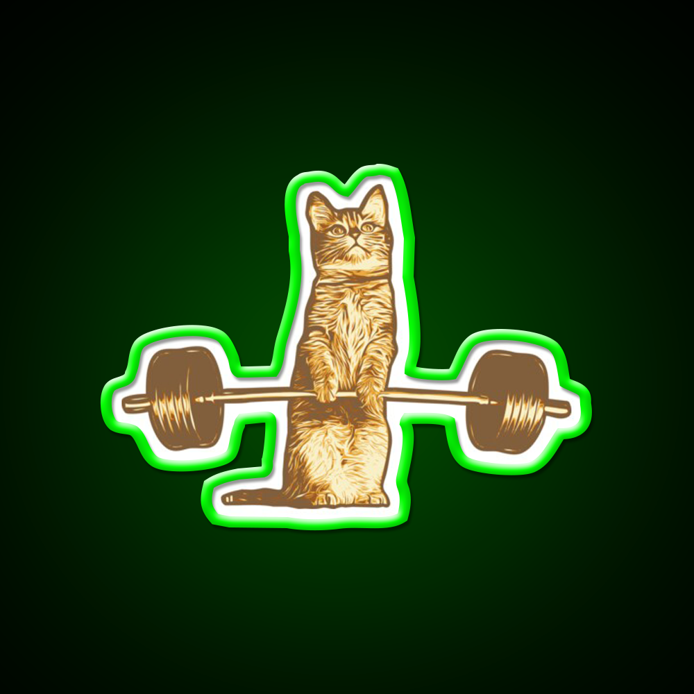 Cat Deadlif Exercise Weightlift Bodybuilding Burn Gym Fitness Led Neon Sign Rgb Color