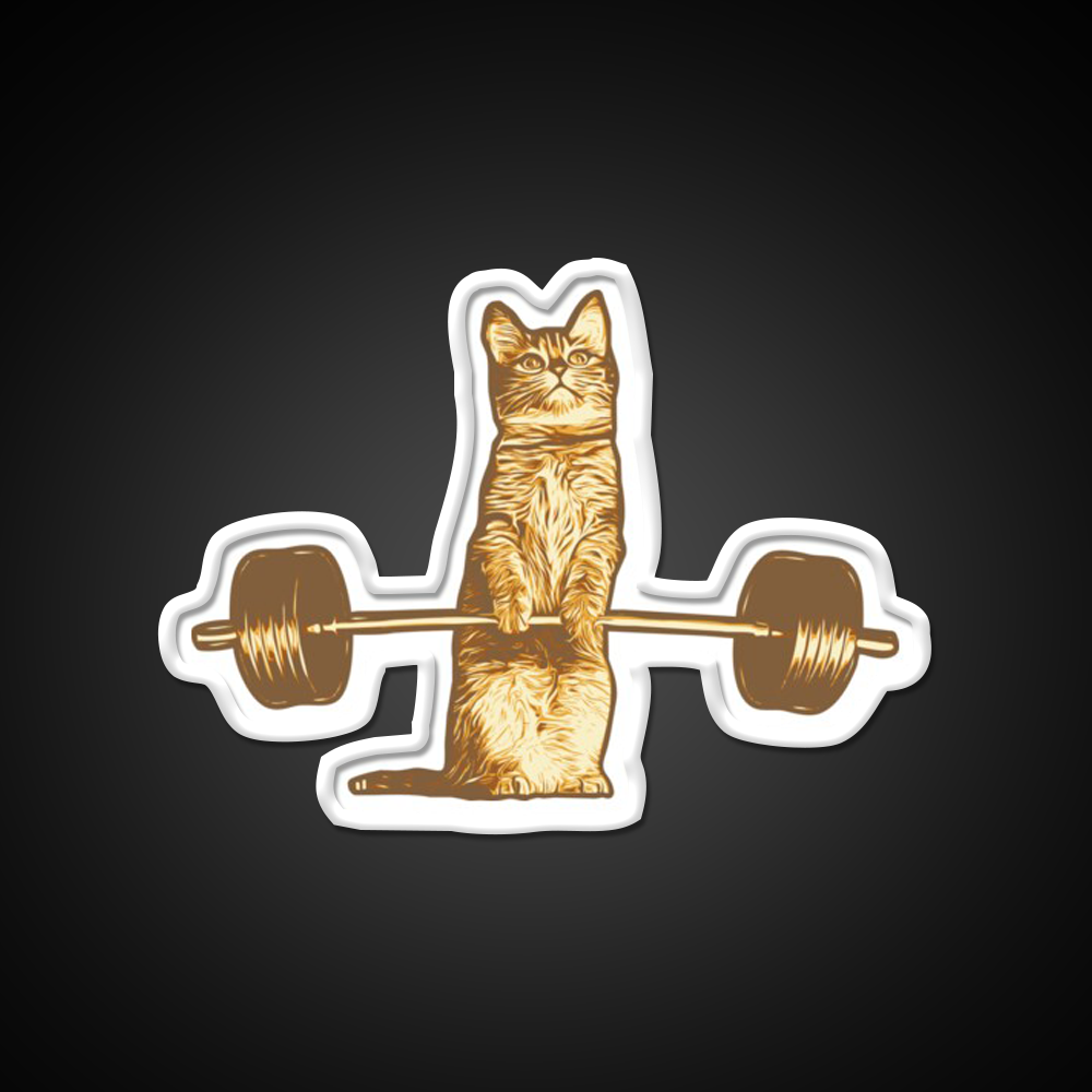 Cat Deadlif Exercise Weightlift Bodybuilding Burn Gym Fitness Led Neon Sign Rgb Color - LED neon sign view 11