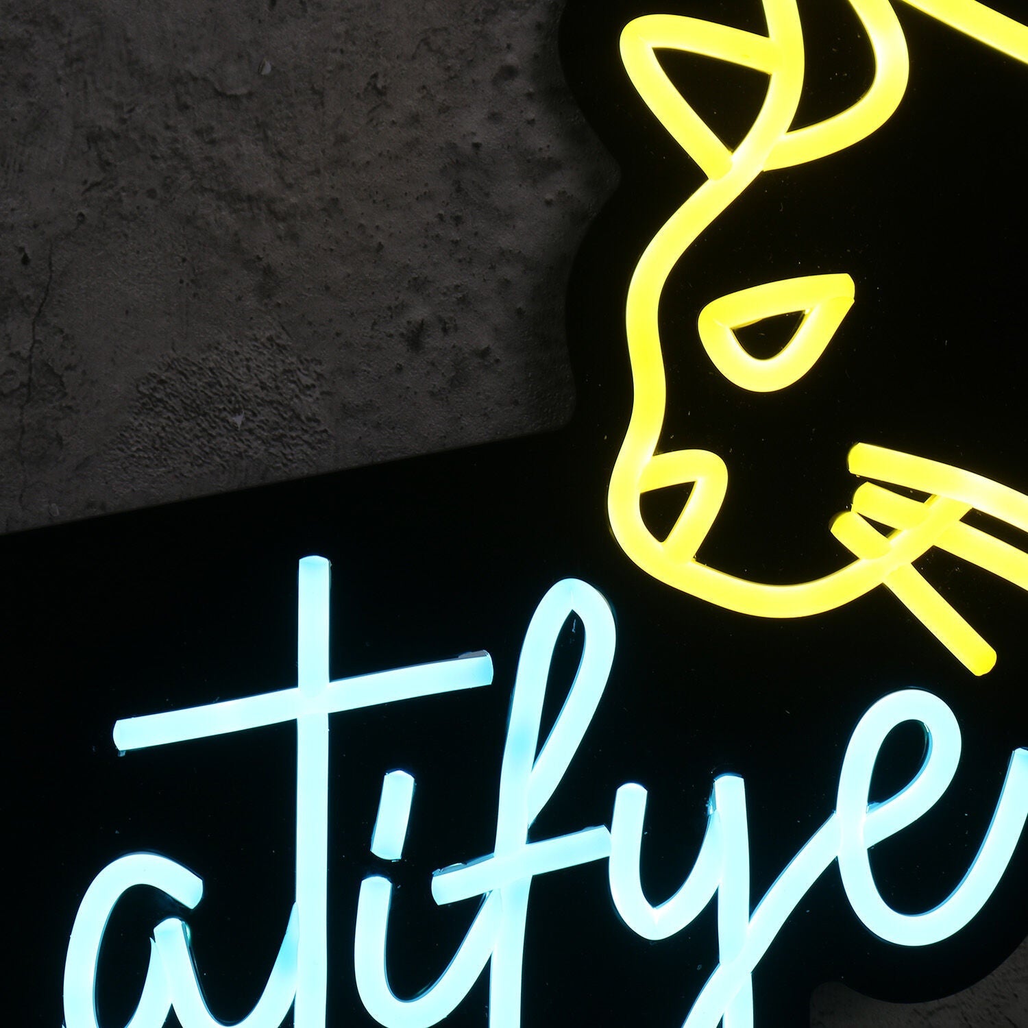 Catifye Custom Led Neon Sign - Shineneon