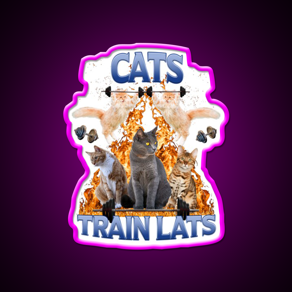 Cats Train Lats Gym Fitness Led Neon Sign Rgb Color - Neon sign mounted on wall in room