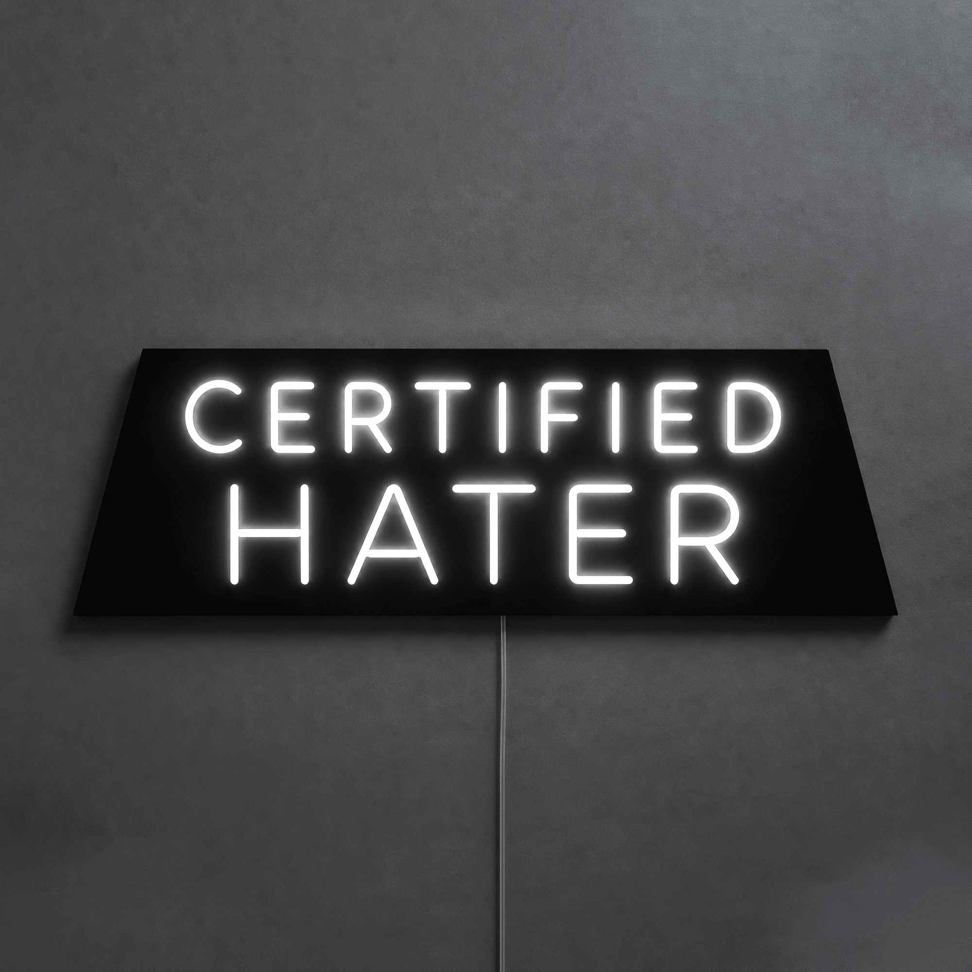 CERTIFIED HATER Custom LED Neon Sign - Shineneon