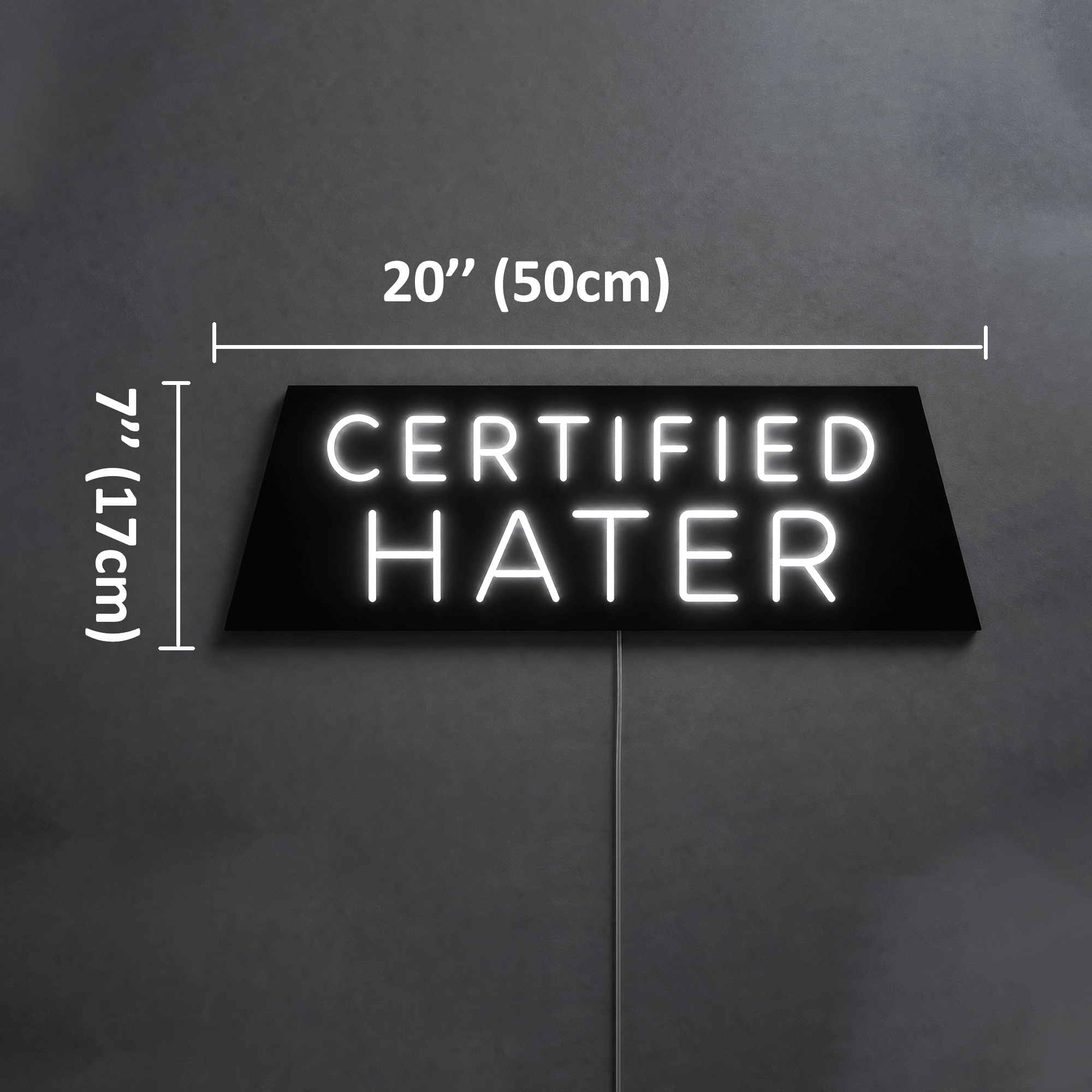 CERTIFIED HATER Custom LED Neon Sign - Shineneon