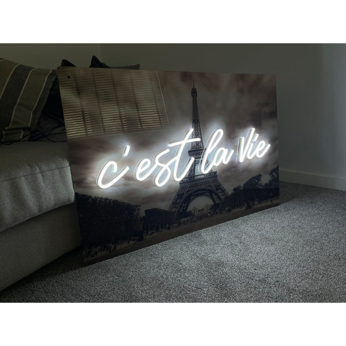 Cest La Vie French Led Sign Business Neon Signs Wall Decor