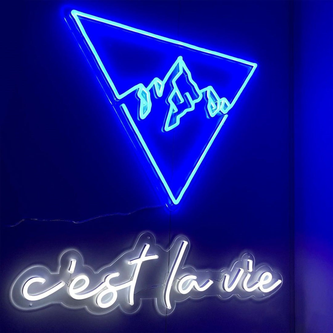 Cest La Vie Led Sign Business Neon Signs