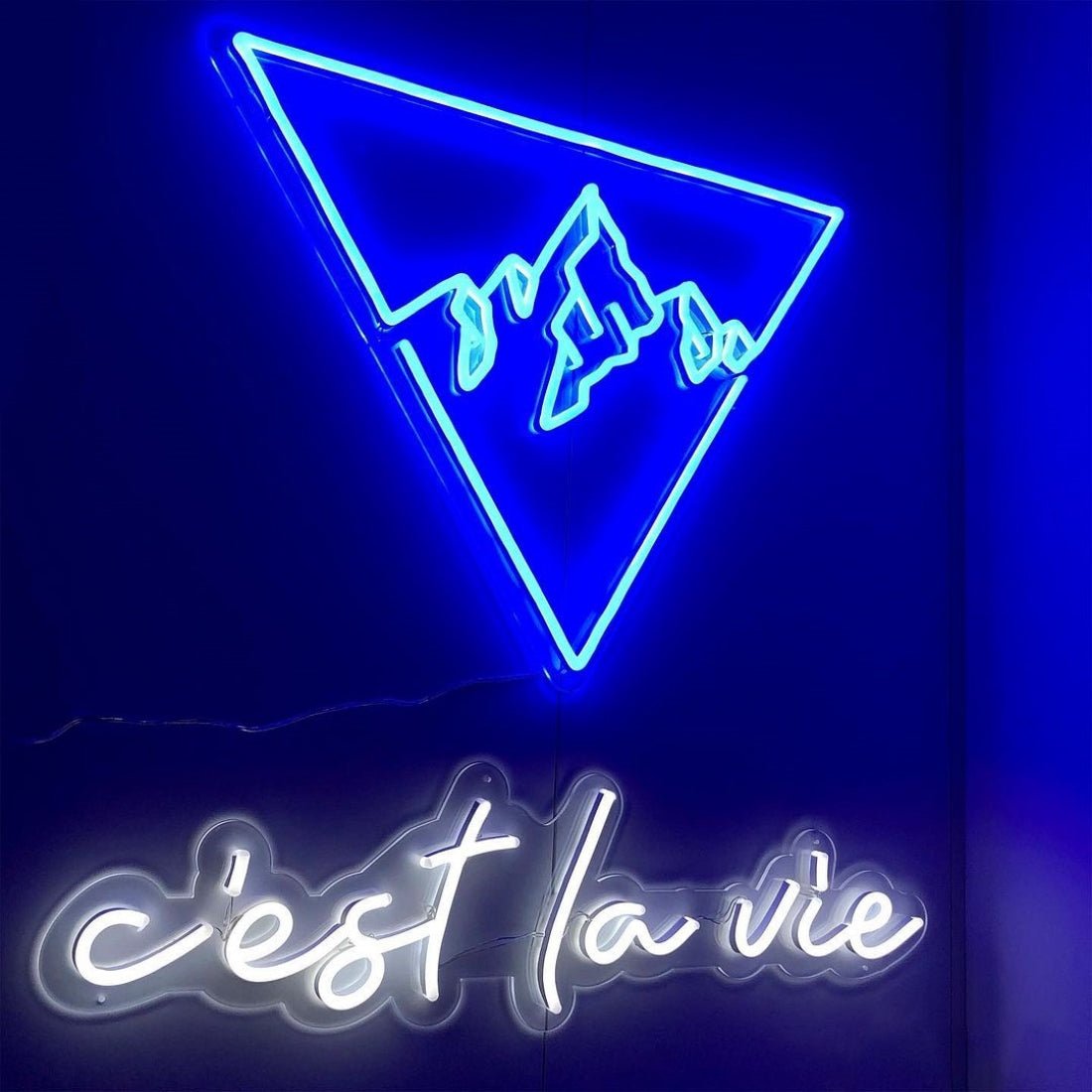 Cest La Vie Led Sign Business Neon Signs - Shineneon