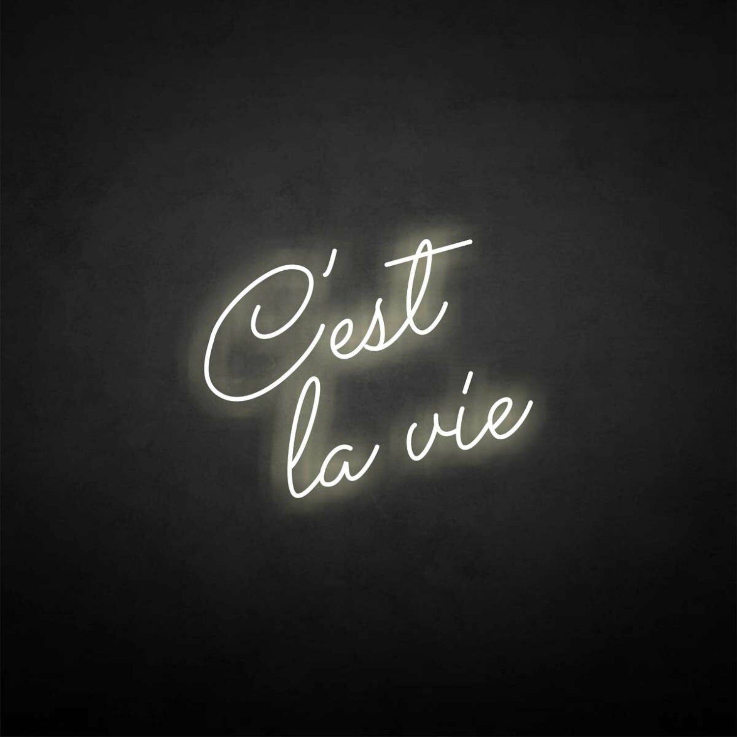 Cest La Vie Neon Sign | Shineneon