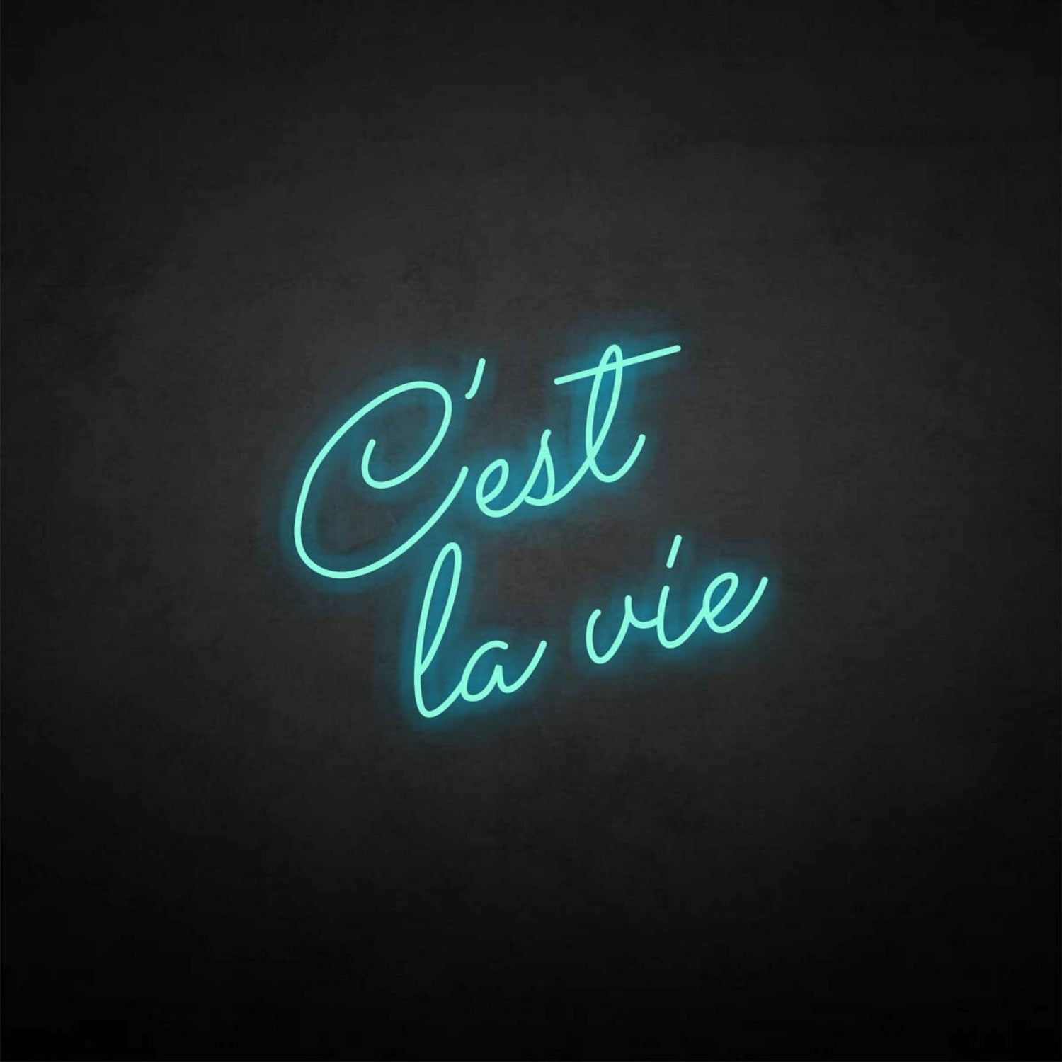 Cest La Vie Neon Sign | Shineneon