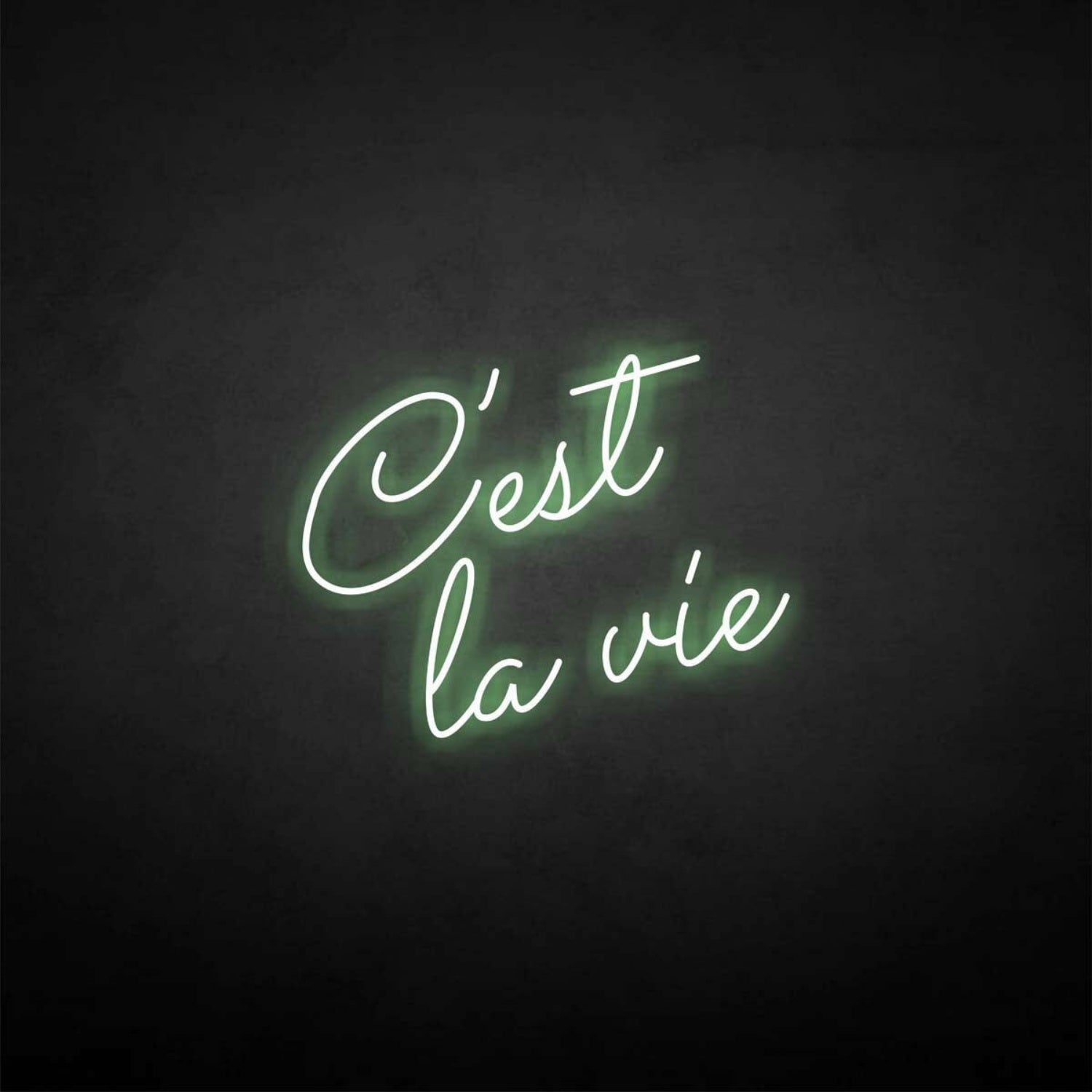 Cest La Vie Neon Sign | Shineneon