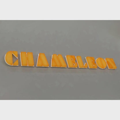 Chameleon 3D Frontlit And Backlit Channel Letter Led Light Sign - Shineneon