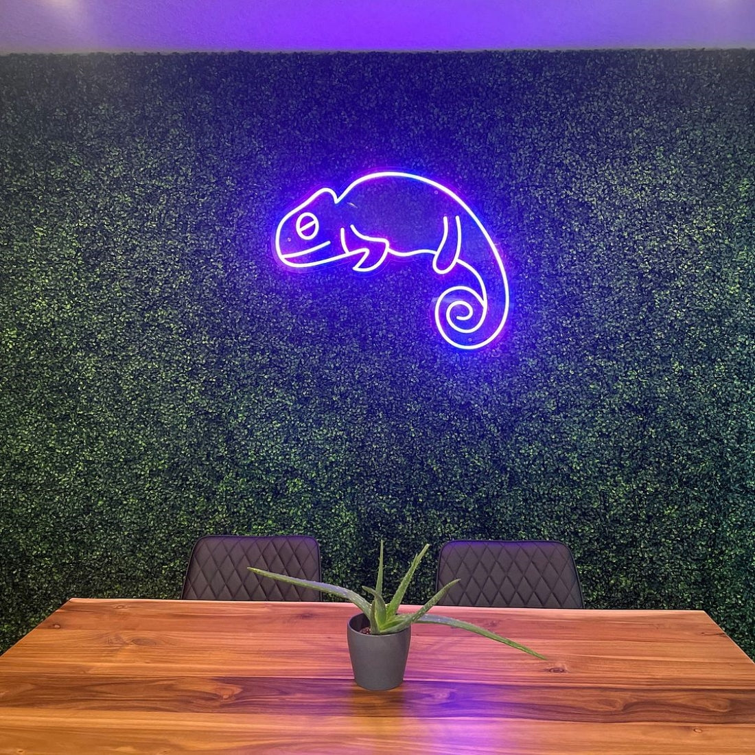 Chameleon Led Sign Business Neon Sign