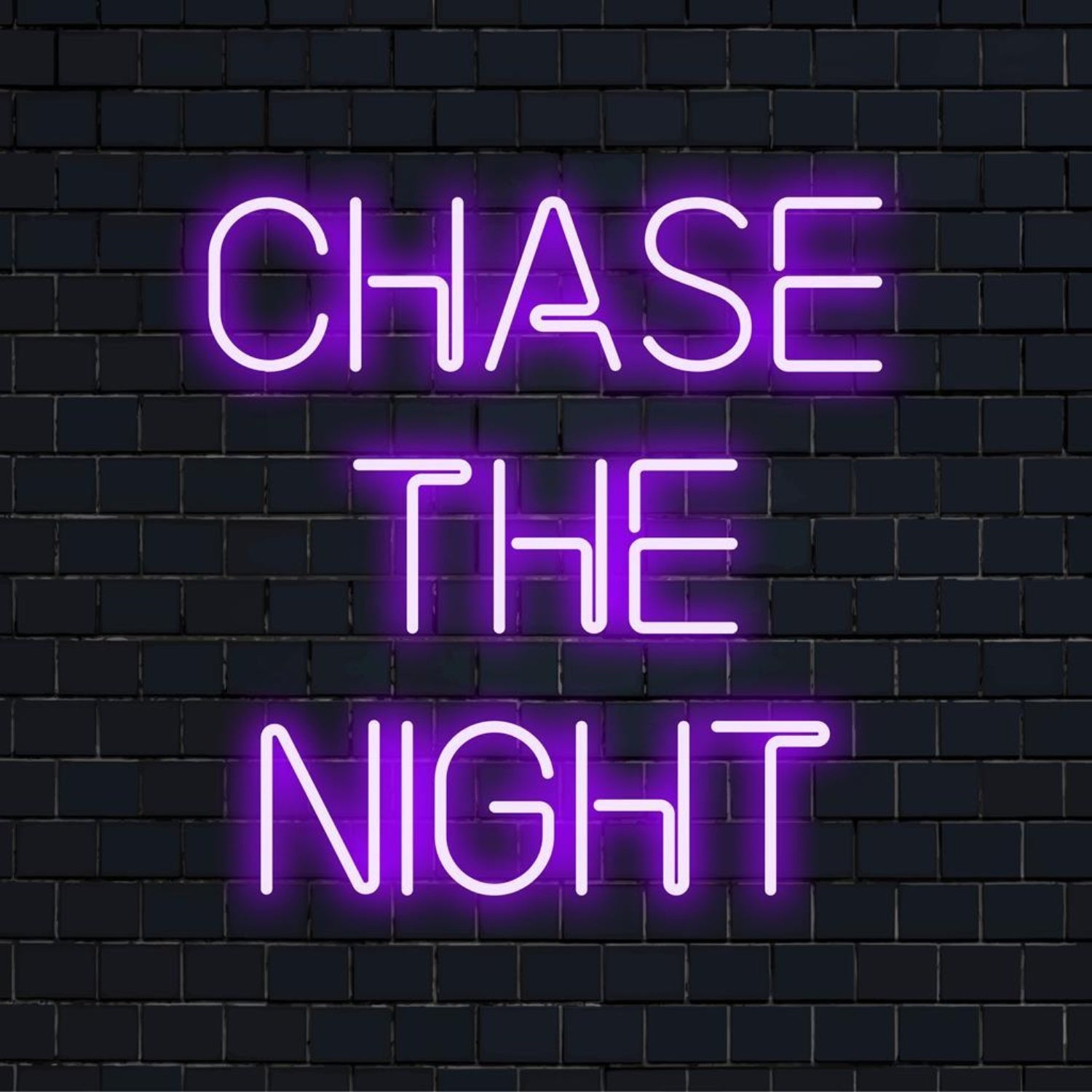 Chase The Night Purple Led Neon Sign For Bar And Nightclub Decor | Shineneon