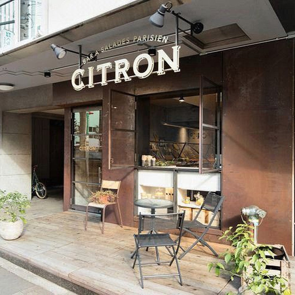 Citron 3D Frontlit Channel Letters Led Light Sign