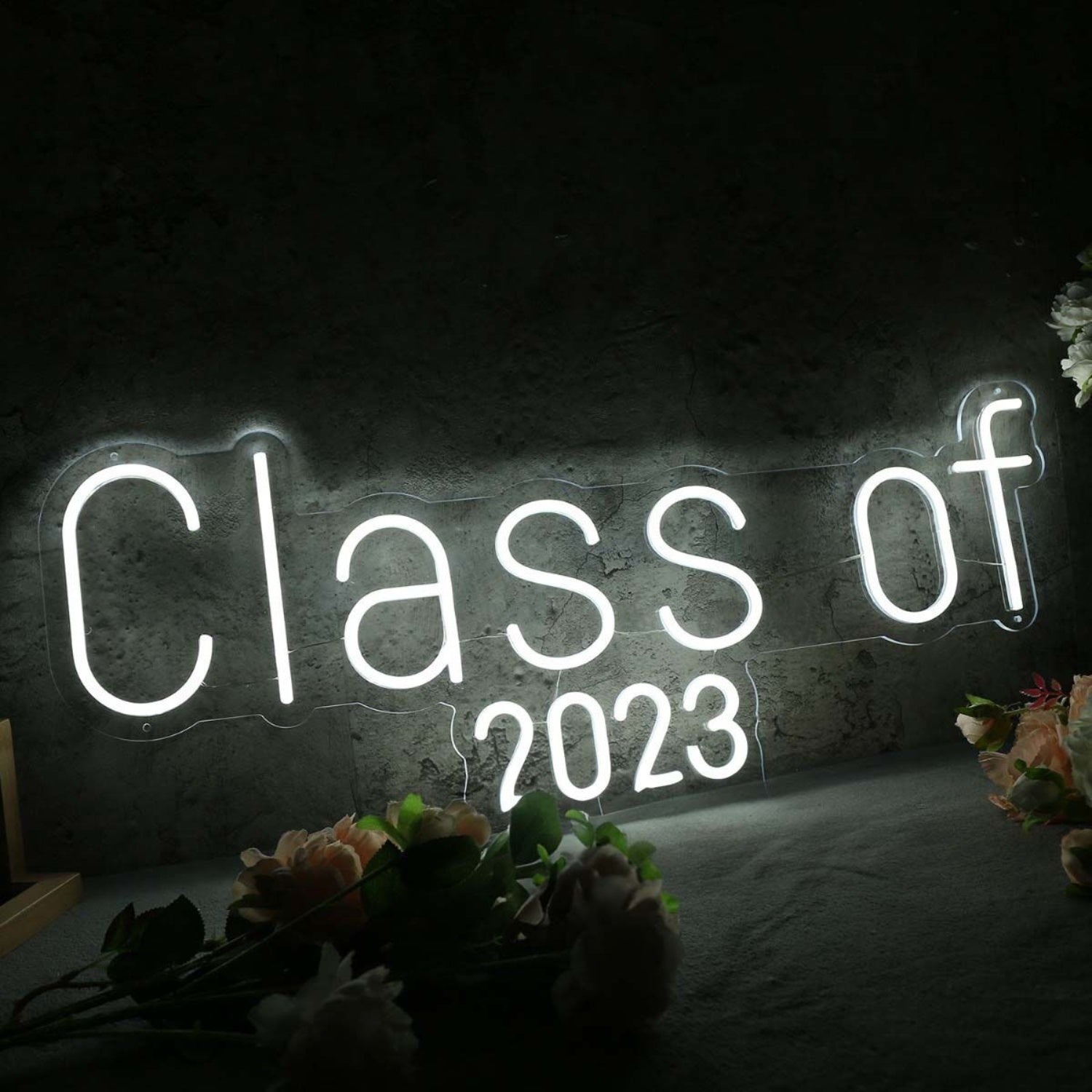 Class Of 2023 White Led Neon Sign - Shineneon