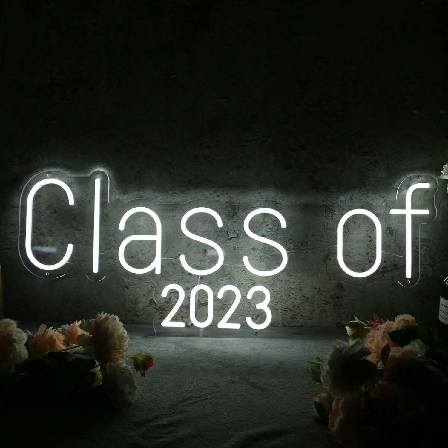 Class Of 2023 White Led Neon Sign - Shineneon
