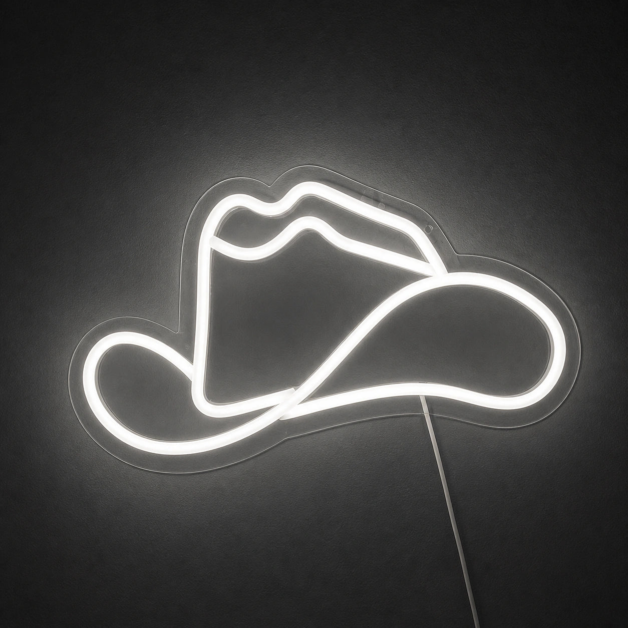 Cowboy Hat With Lasso Brim Vintage LED Neon Sign main product image
