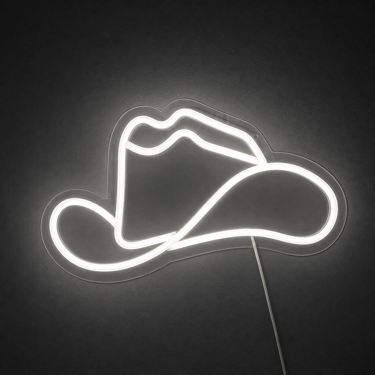Cowboy Hat With Lasso Brim Vintage LED Neon Sign - Shineneon