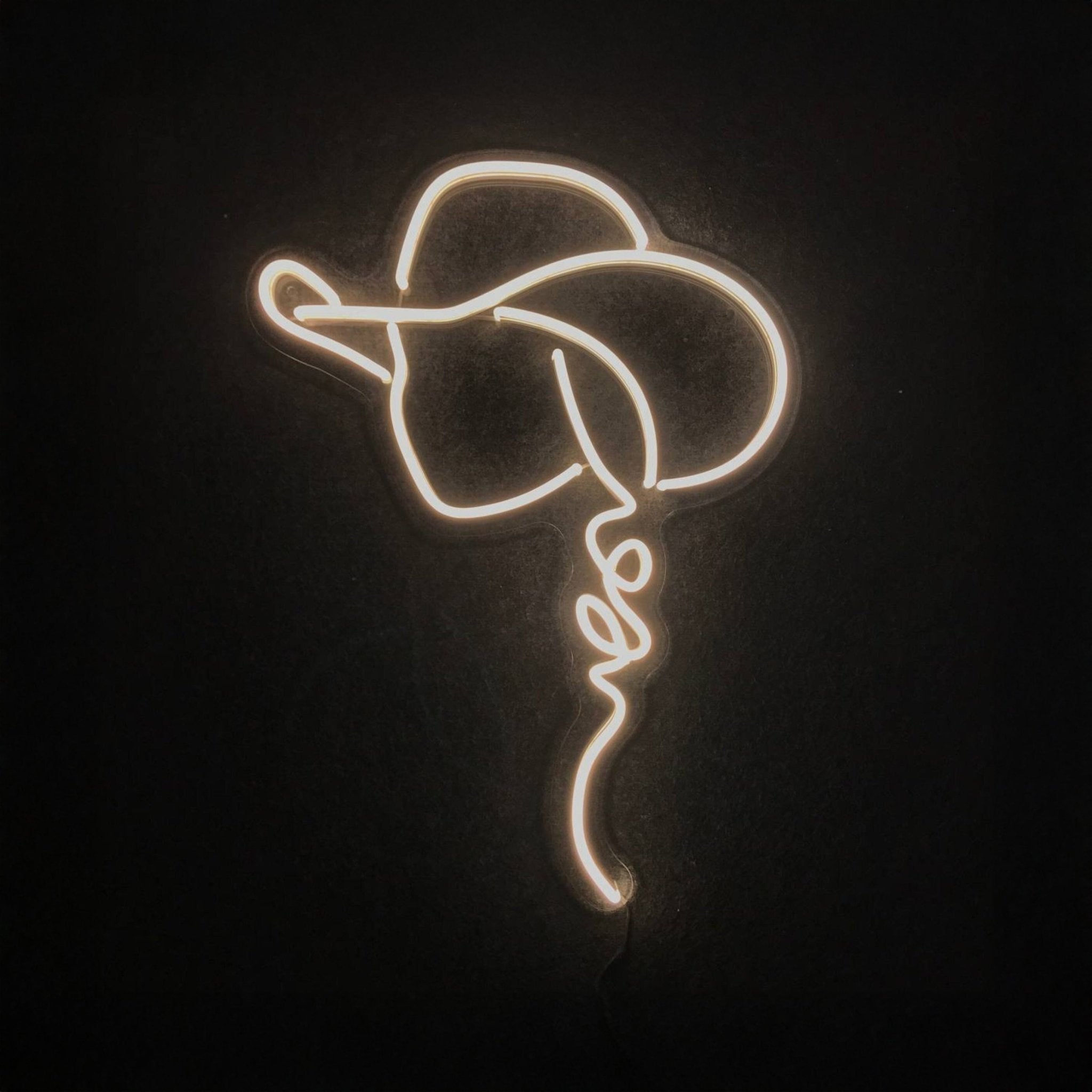 Cowgirl Neon Sign Western Girl Neon Sign - Shineneon